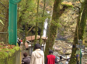 Stairs to Joren Falls