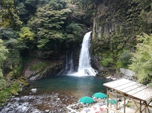 #1 Oodaru in Kawazu Nanadaru