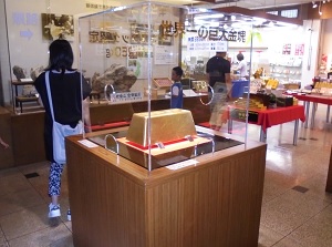 250-kilogram gold ingot in the museum in Toi Gold Mine