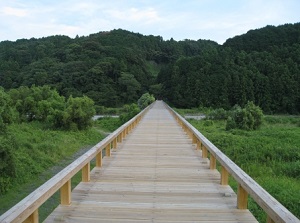 On Hourai Bridge