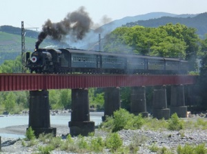 Steam Locomotive of Oigawa Railway