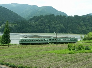 Running train by tea farm