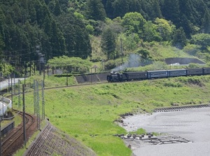 Steam Locomotive running along Oigawa