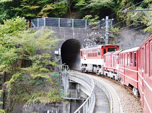Train of Ikawa Line