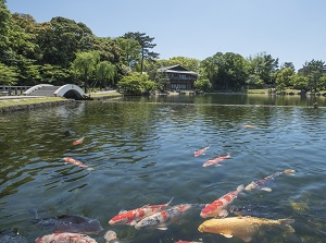 Pond in Tokugawaen