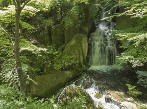 Waterfall in Tokugawaen