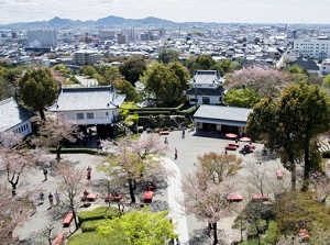 Inuyama city from Inuyama Castle