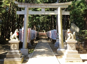 Senbon-Nobori in Toyokawa Inari