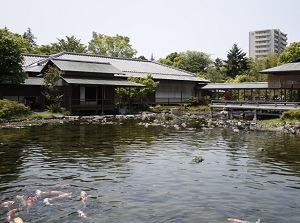 Seiu-tei in Shirotori Garden