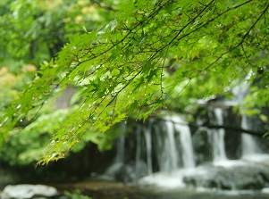 Waterfall in Shirotori Garden in summer
