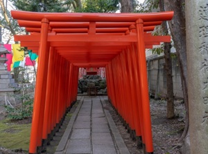 Renri-Inari in Wakamiya Hachimansha