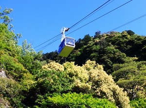 Kinkazan Ropeway