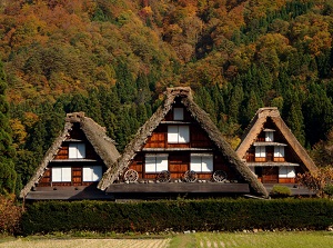 Shirakawa-go in autumn