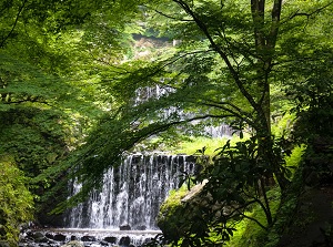 Downstream of Yoro Falls