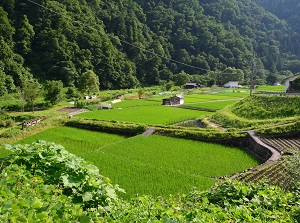 Satoyama in Hida-Furukawa