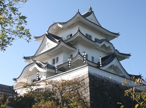 Iga-Ueno Castle