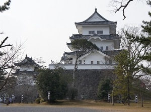 Iga-Ueno Castle