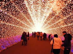 Light tunnel at Nabana no sato