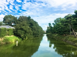 Moat of Daisenryo Kofun