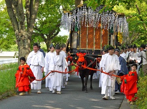 Aoi Festival