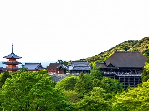 Kiyomizu-dera