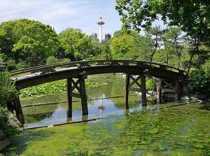 A brigde in Shosei-en