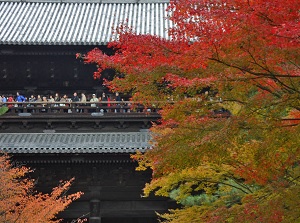 Terrace of Sanmon in autumn