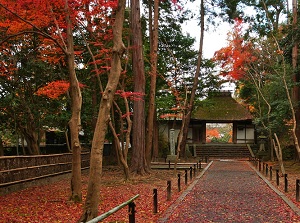 The gate of Honen-in in autumn