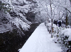 Tetsugaku-no-michi in winter