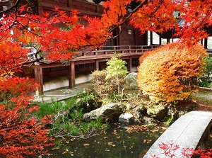 Colored leaves in Bishamon-do