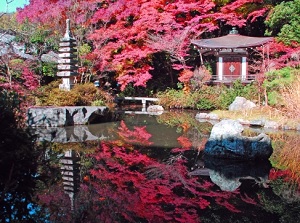 A pond in Bishamon-do