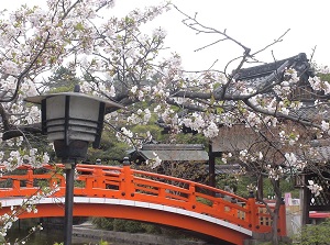 Hojobashi in spring