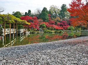 Garden of Kyoto Sento Gosho