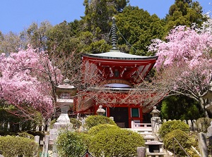 Tahoto pagoda near cable car