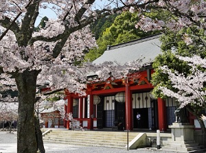 Honden-Kondou in spring