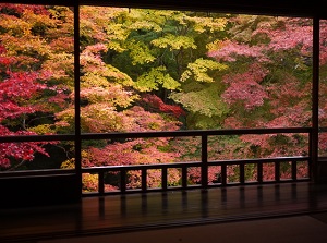 Colored leaves in Ruriko-in