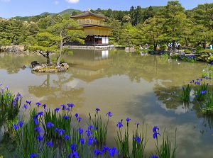 Kinkakuji in early summer