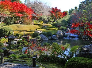 Japanese garden in Taizou-in