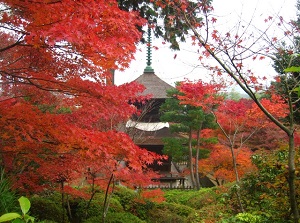 Jojakkoji in autumn