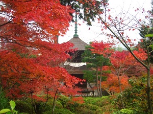 Jojakkoji in autumn