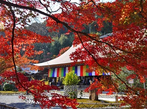 Main temple of Nison-in