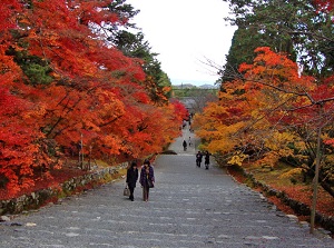 Momiji-no-Baba in Nison-in