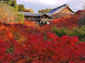 Tsutenkyo from Gaunkyo in autumn