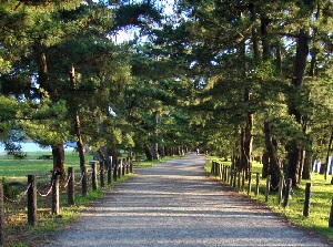 Road on the sandbar of Amanohashidate