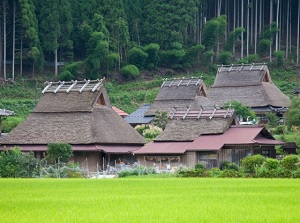 Thatched houses in Miyama village