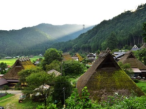 Miyama thatched village