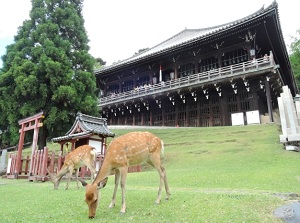 Nigatsudo of Todaiji