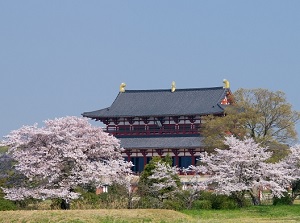 Daigokuden in spring in Heijo Palace