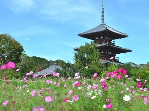 Hokiji in autumn