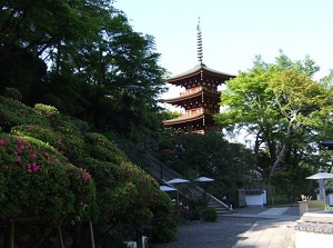 Three-storied pagoda of Okadeara